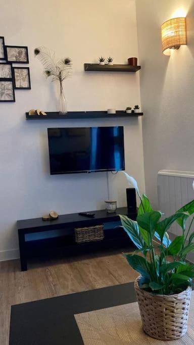 Appartement Cozy'wood Brest