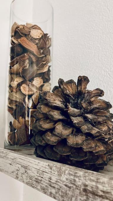 Appartement Cozy'wood *